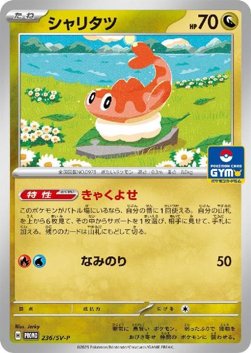 シャリタツ(236/SV-P)[P]【SV-P】